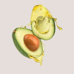 Avocado Oil