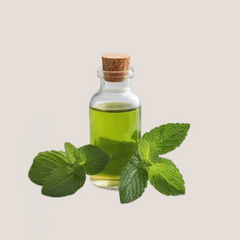 Peppermint Oil